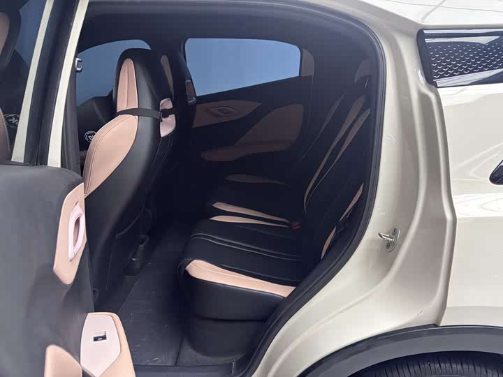 Фото 6 - BYD Seagull