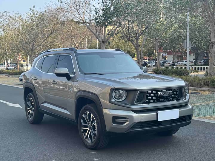 Фото 3 - Haval H-Dog