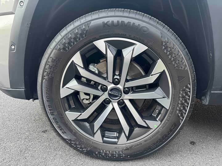 Фото 8 - Haval H-Dog