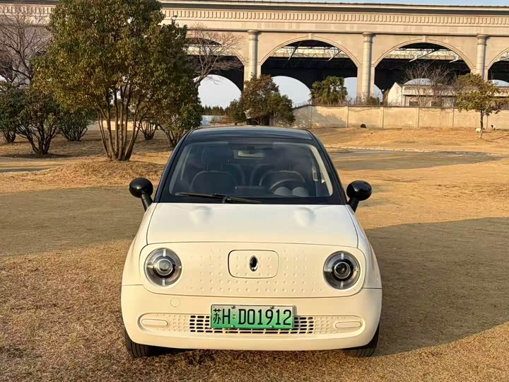 Фото 9 - Ora Black Cat