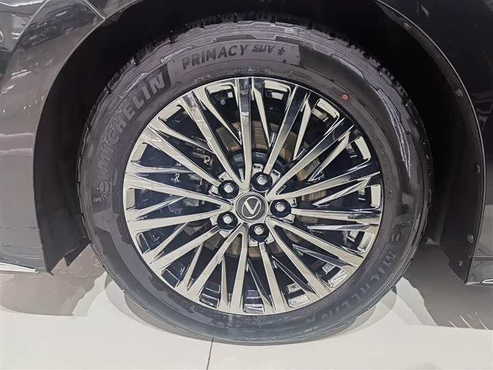 Фото 4 - Lexus LM