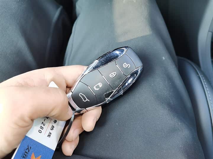 Фото 9 - Hongqi HQ9 Hybrid