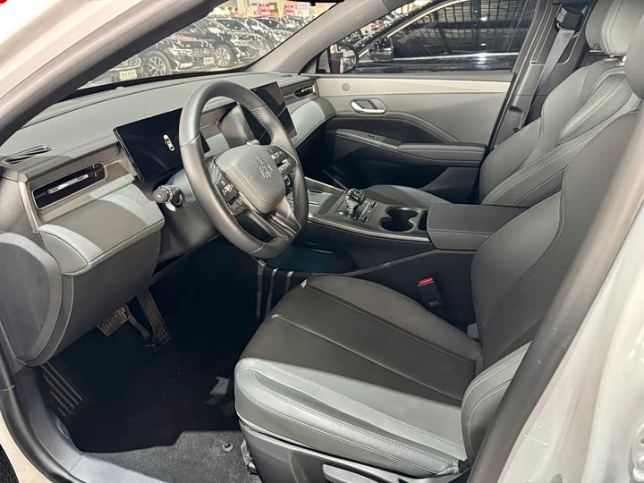 Фото 4 - BYD Qin Plus