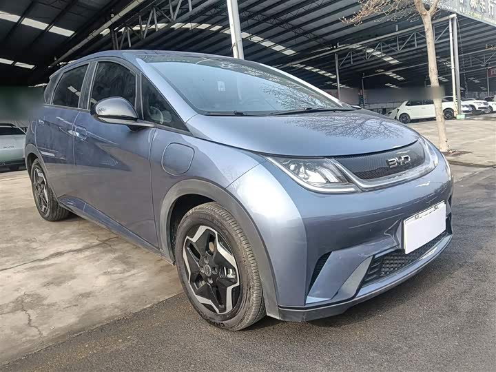 Фото 4 - BYD Dolphin