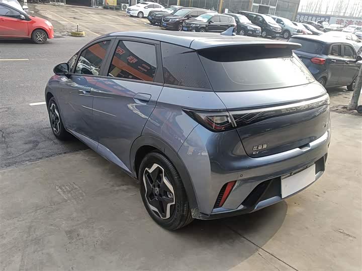 Фото 5 - BYD Dolphin