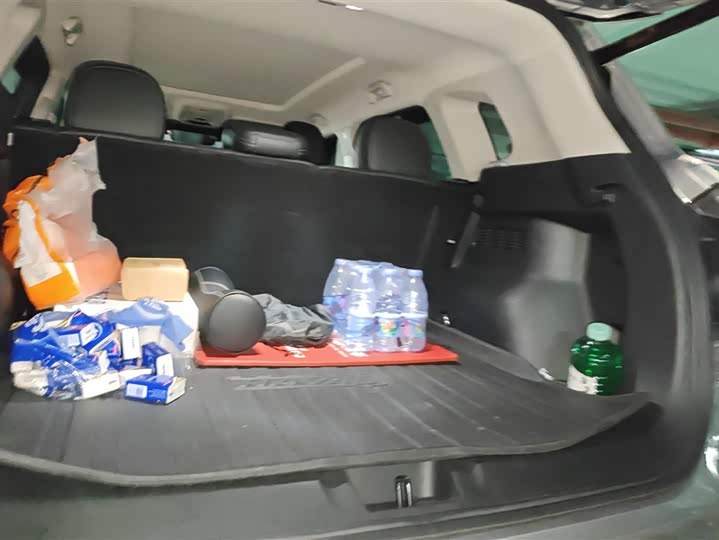 Фото 4 - Haval H-Dog Hybrid