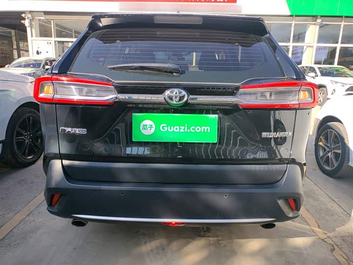 Фото 6 - Toyota Wildlander