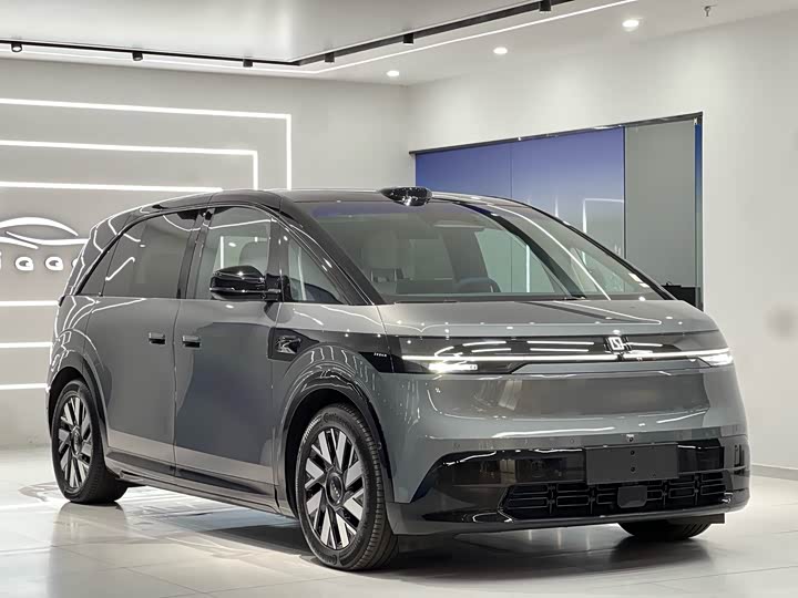 Фото 2 - Zeekr Mix