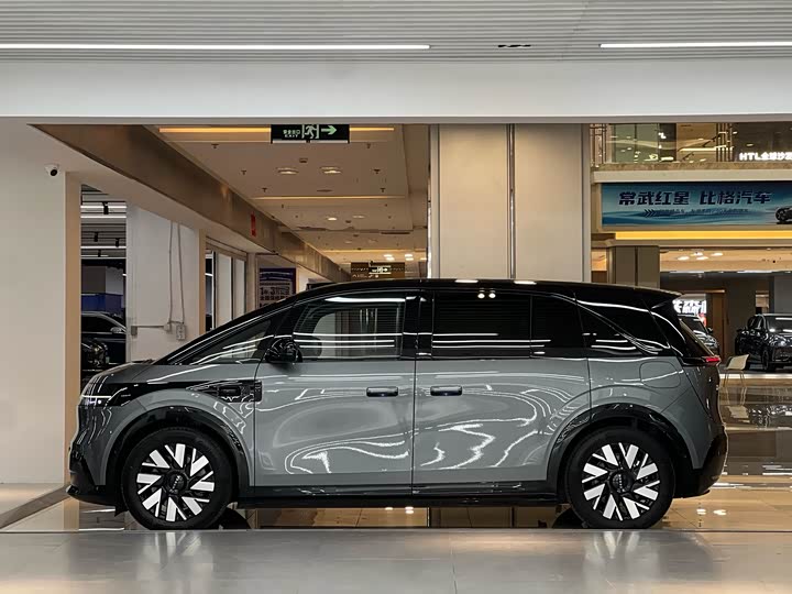 Фото 5 - Zeekr Mix