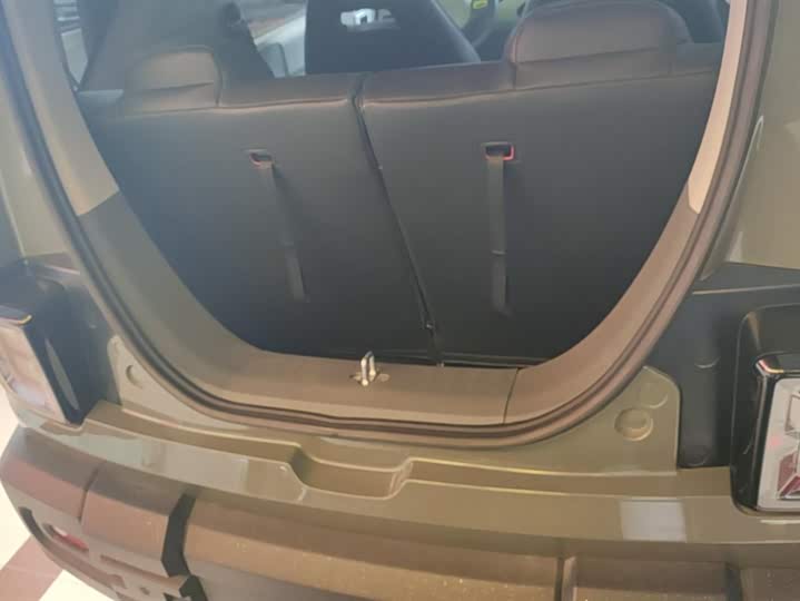 Фото 4 - Geely Galaxy Panda Mini