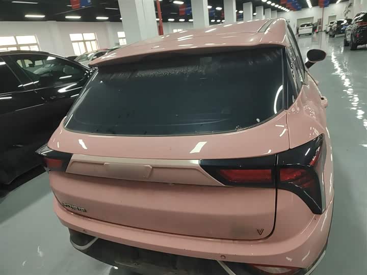 Фото 6 - Hozon V