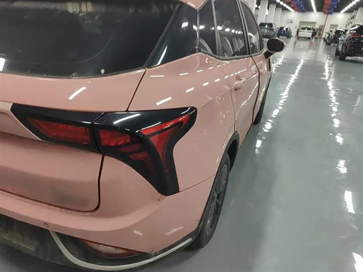 Фото 8 - Hozon V