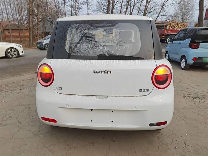 Фото 6 - Changan Qiyuan (Nevo) Lumin