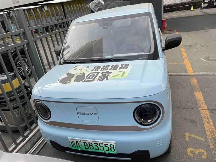 Фото 7 - Geely Galaxy Panda Mini