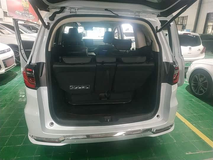 Фото 9 - Honda Elysion