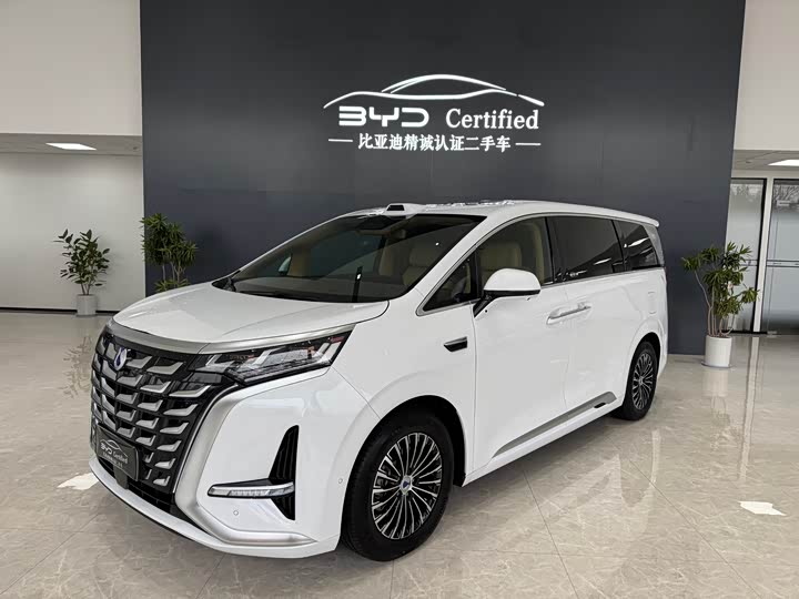 Фото 1 - Denza D9