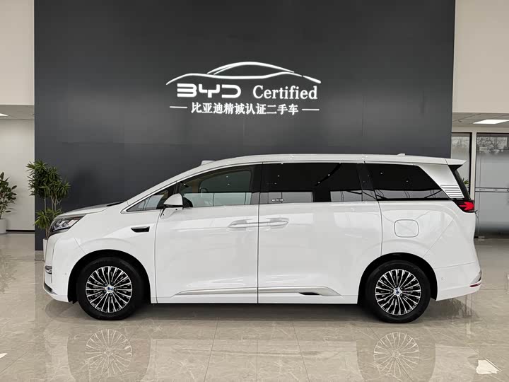 Фото 2 - Denza D9