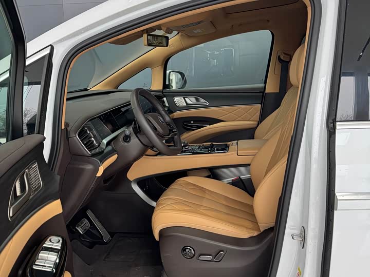 Фото 4 - Denza D9