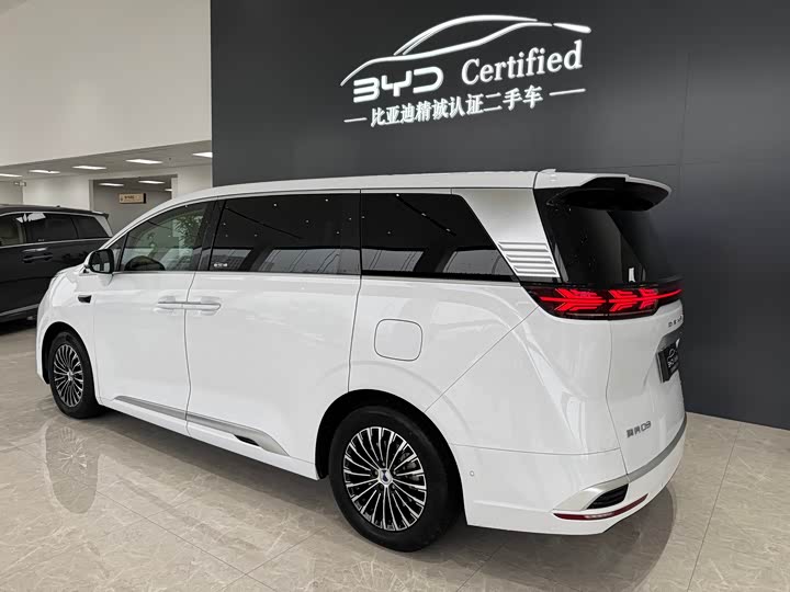 Фото 7 - Denza D9