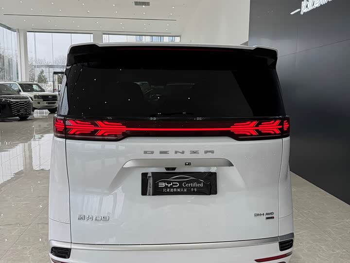 Фото 8 - Denza D9