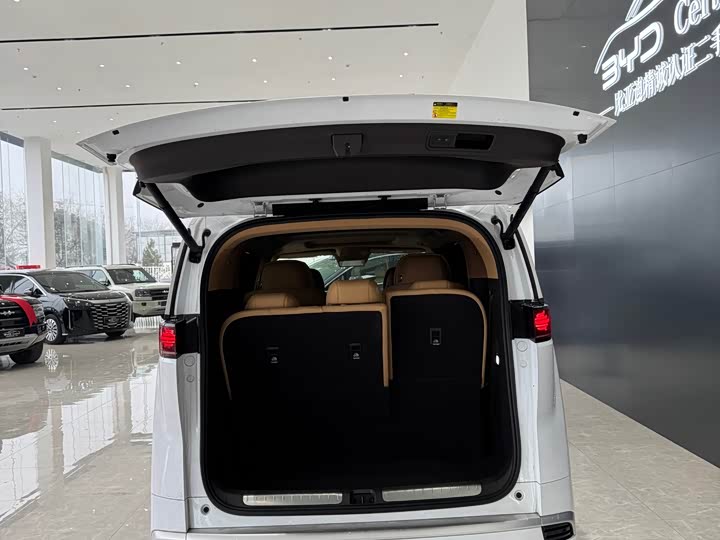 Фото 9 - Denza D9