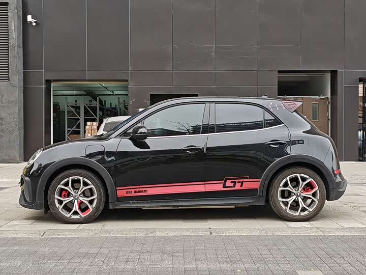 Фото 9 - Ora Good Cat GT (03 GT)