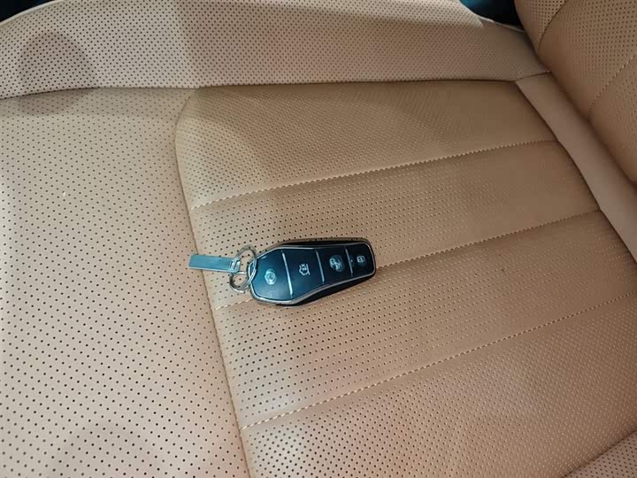 Фото 9 - BYD Han L