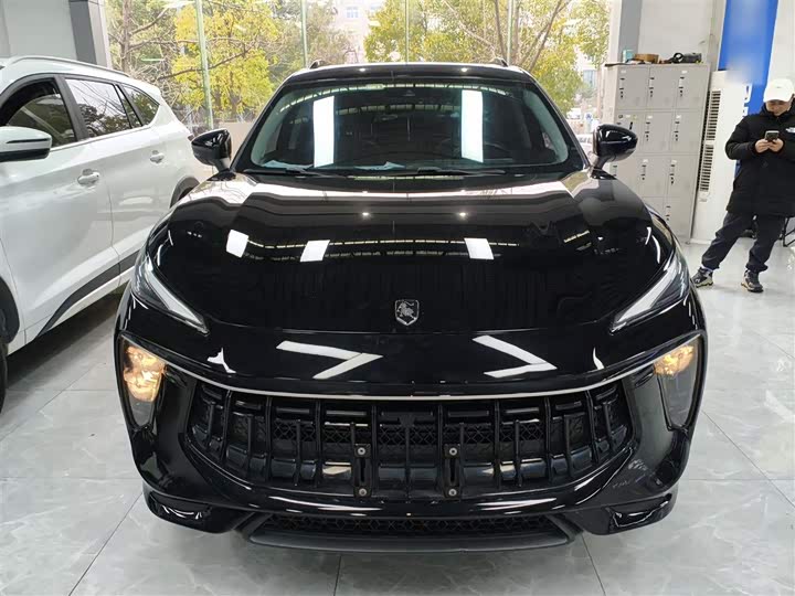 Фото 3 - Dongfeng Forthing T5 EVO