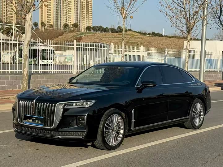 Фото 1 - Hongqi H9