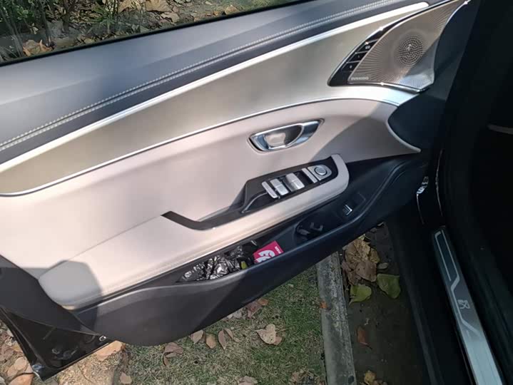 Фото 7 - BYD Han