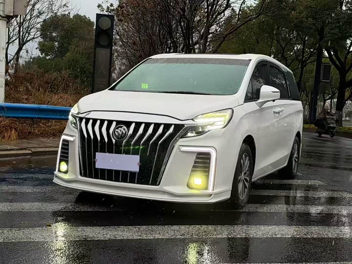 Фото 1 - Buick GL8 ES