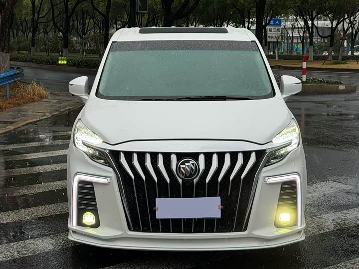 Фото 2 - Buick GL8 ES