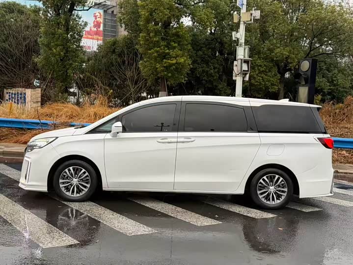 Фото 3 - Buick GL8 ES