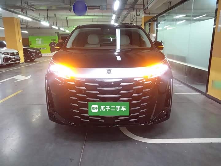 Фото 3 - BYD Xia