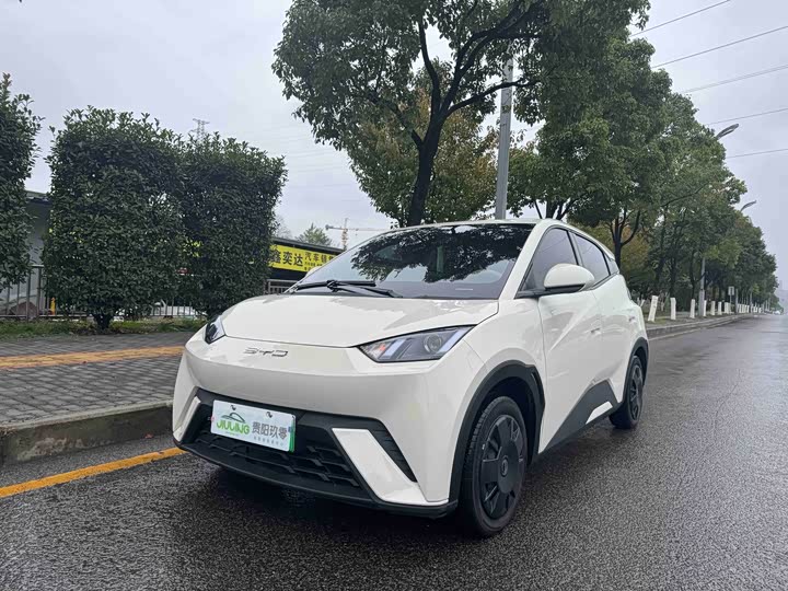 Фото 2 - BYD Seagull