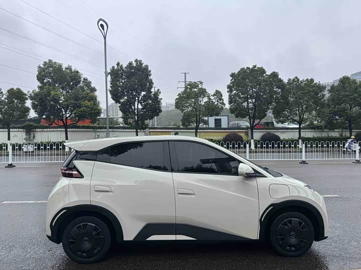 Фото 3 - BYD Seagull