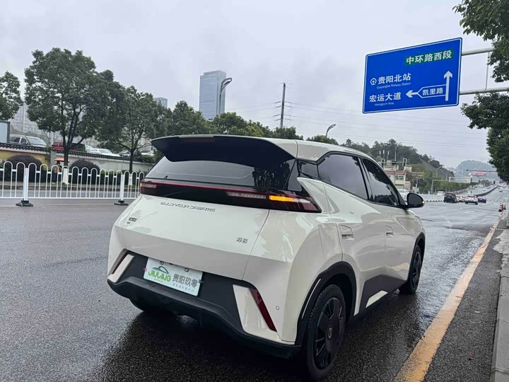 Фото 4 - BYD Seagull