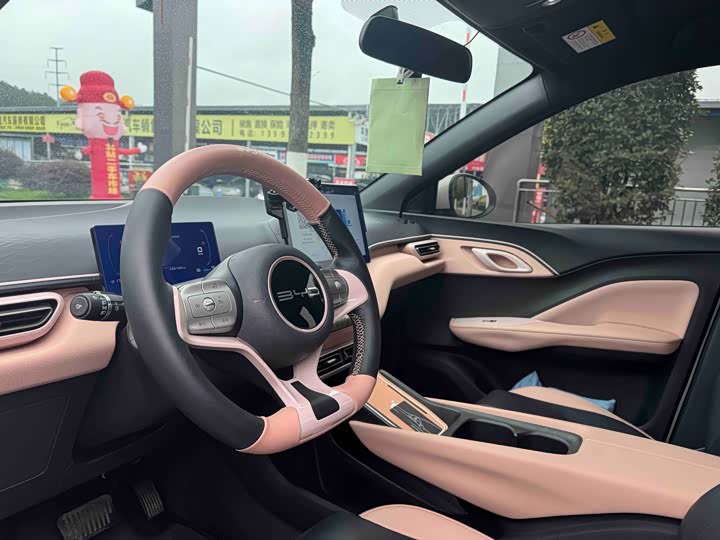 Фото 6 - BYD Seagull