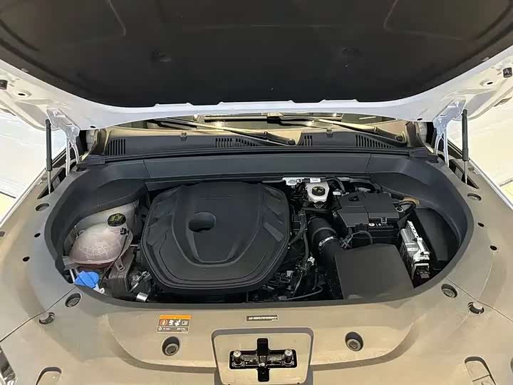 Фото 8 - Geely Monjaro