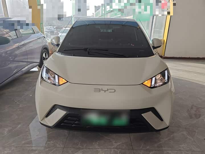 Фото 3 - BYD Seagull