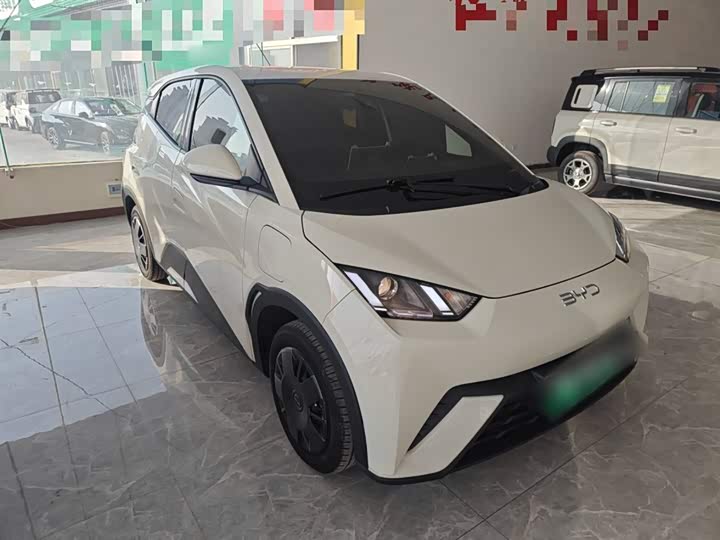 Фото 4 - BYD Seagull