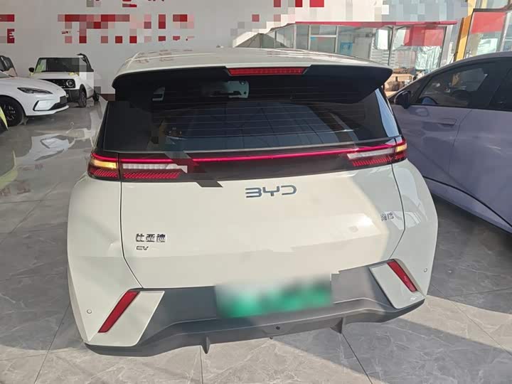 Фото 6 - BYD Seagull