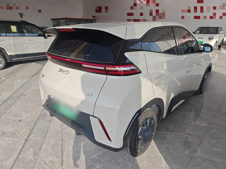 Фото 7 - BYD Seagull