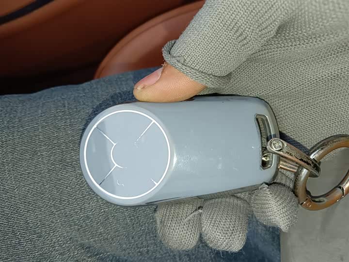 Фото 9 - Ora Lightning Cat (07)