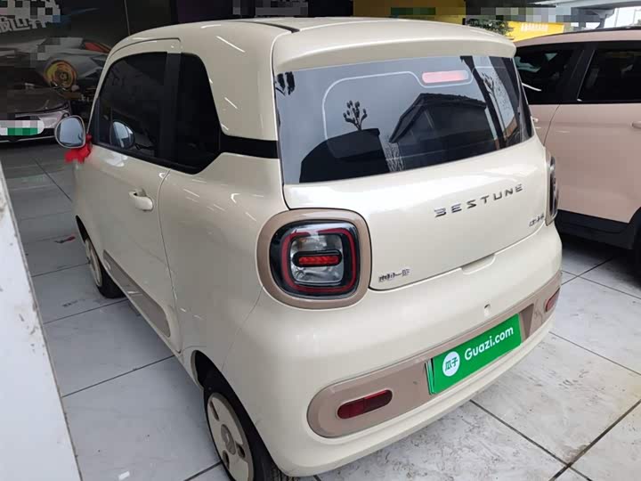 Фото 5 - Bestune Pony