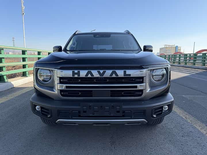 Фото 2 - Haval Dargo