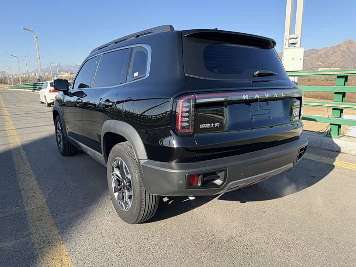 Фото 5 - Haval Dargo