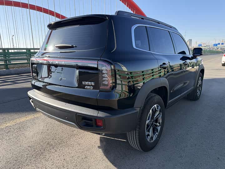 Фото 7 - Haval Dargo