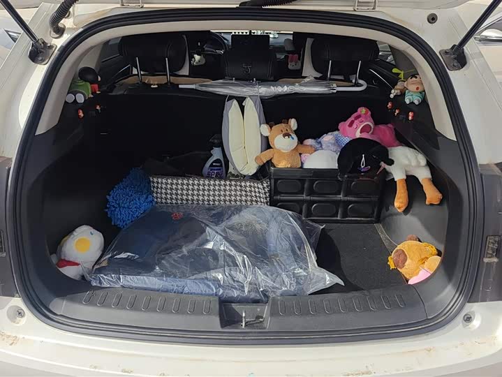 Фото 4 - Haval Jolion