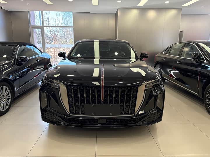 Фото 2 - Hongqi H9